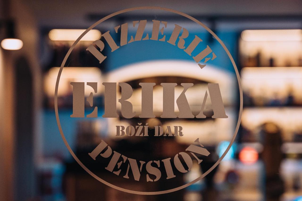 Penzion Erika Boží Dar Dış mekan fotoğraf